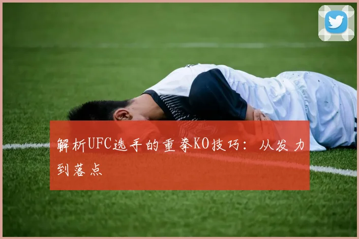解析UFC选手的重拳KO技巧：从发力到落点