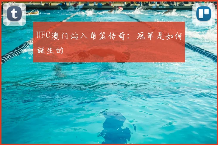 UFC澳门站八角笼传奇：冠军是如何诞生的