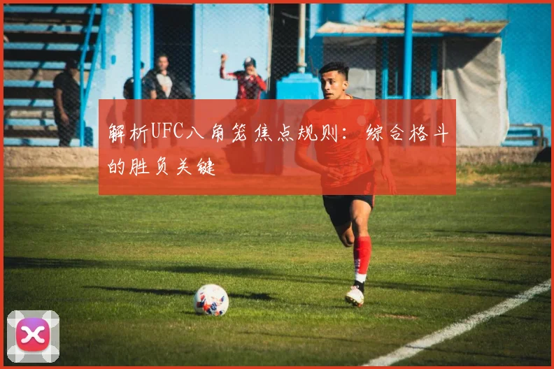 解析UFC八角笼焦点规则：综合格斗的胜负关键