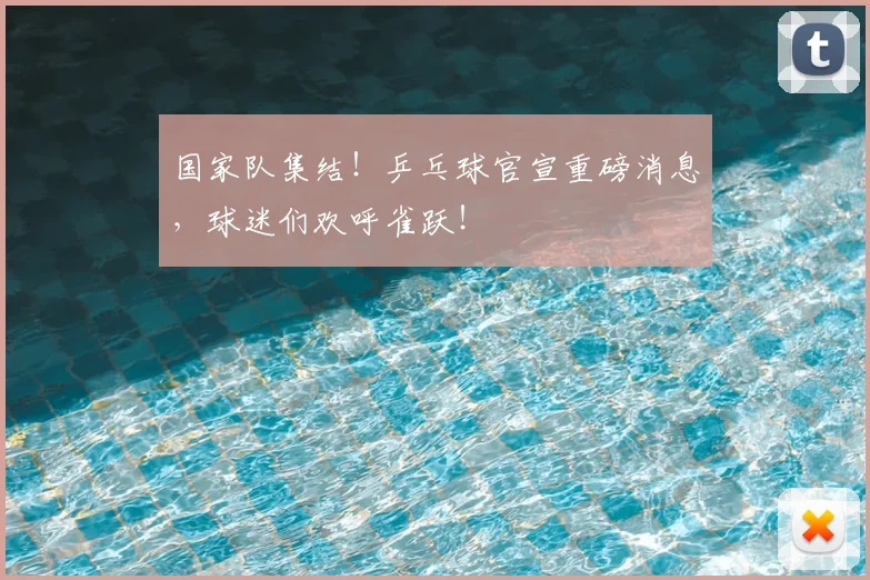 国家队集结！乒乓球官宣重磅消息，球迷们欢呼雀跃！