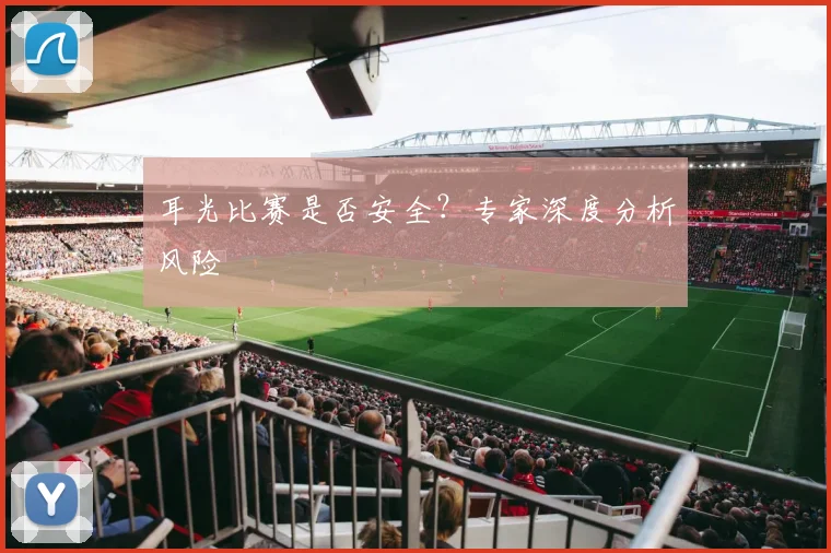 耳光比赛是否安全？专家深度分析风险