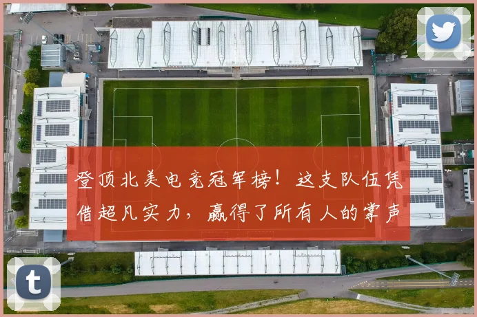 登顶北美电竞冠军榜！这支队伍凭借超凡实力，赢得了所有人的掌声