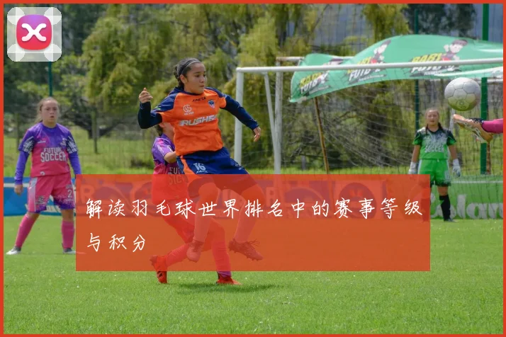 解读羽毛球世界排名中的赛事等级与积分