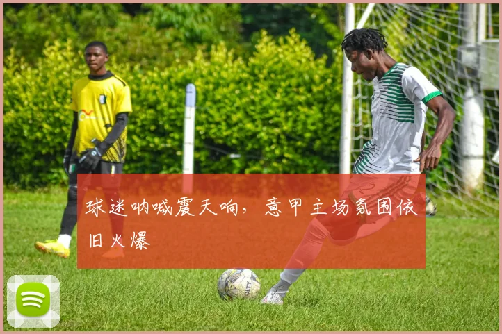 球迷呐喊震天响，意甲主场氛围依旧火爆